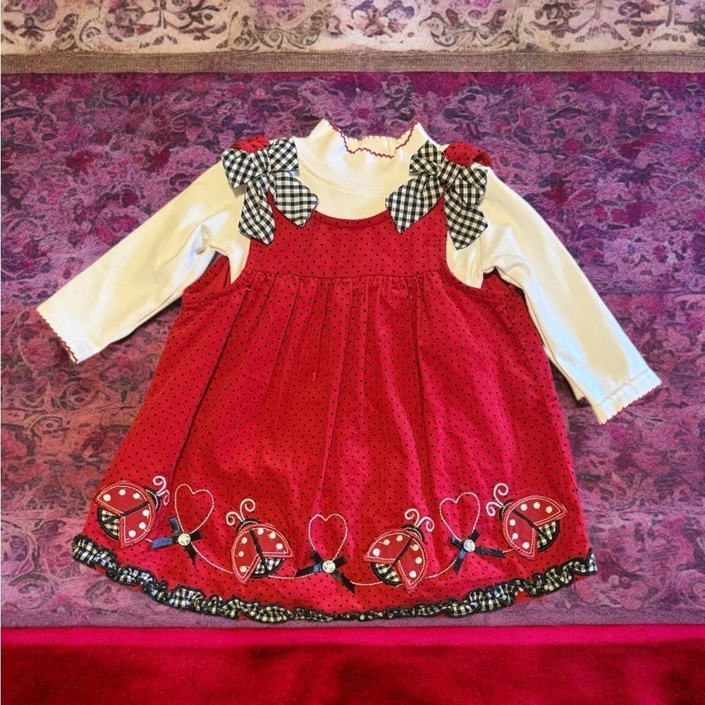 Ladybug dress with shirt (12m)